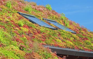 Bridport living roof systems