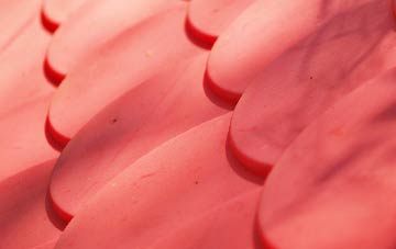 Bridport plastic roof costs