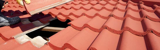 compare Bridport roof repair quotes